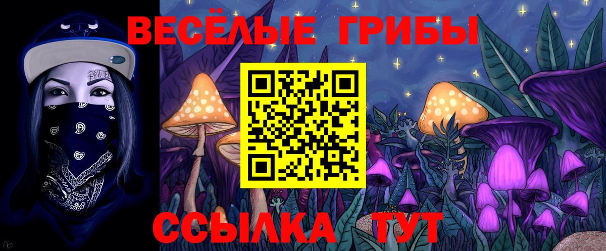 Галлюциногенные грибы Cubensis Новотроицк