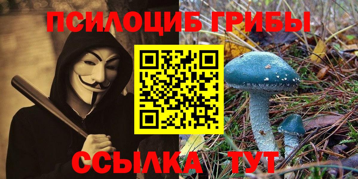Псилоцибиновые грибы Psilocybe  Вход с VPN  Новотроицк  Галлюциногенные грибы Psilocybe 